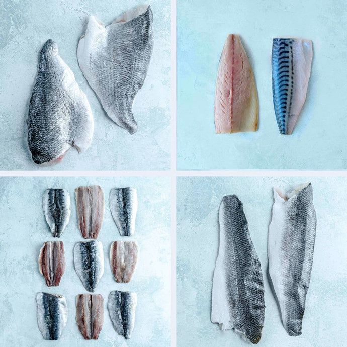 Fish Fillet Sets Buy Best Selling Fish Fillets Bundle | Next Day Delivery – The Fish Society