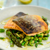 Icelandic Arctic Char Fillet Steaks