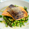 Icelandic Arctic Char Fillet Steaks