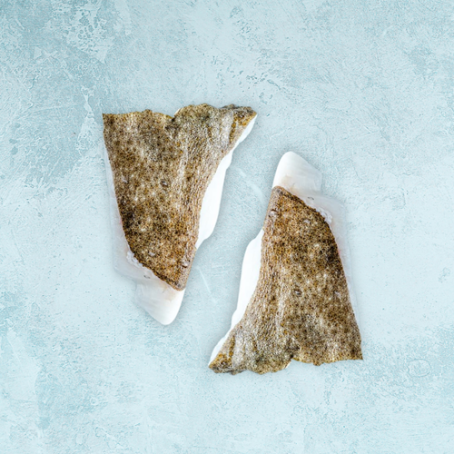 Wild British Turbot Fillet Portions