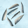 Wild British Mackerel Fillets