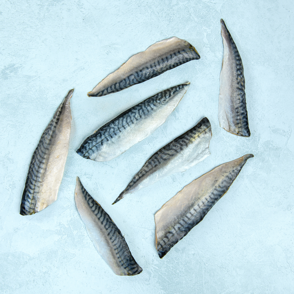 Wild British Mackerel Fillets