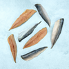 Wild British Mackerel Fillets