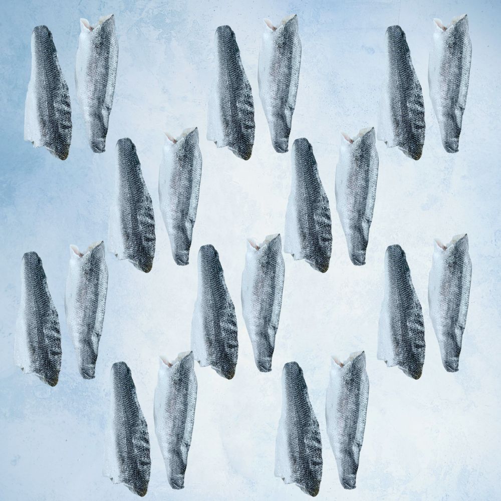 Best Seller Bundle Mediterranean Sea Bass Fillets (x2) 300g x 10 Packs - 20 Fillets