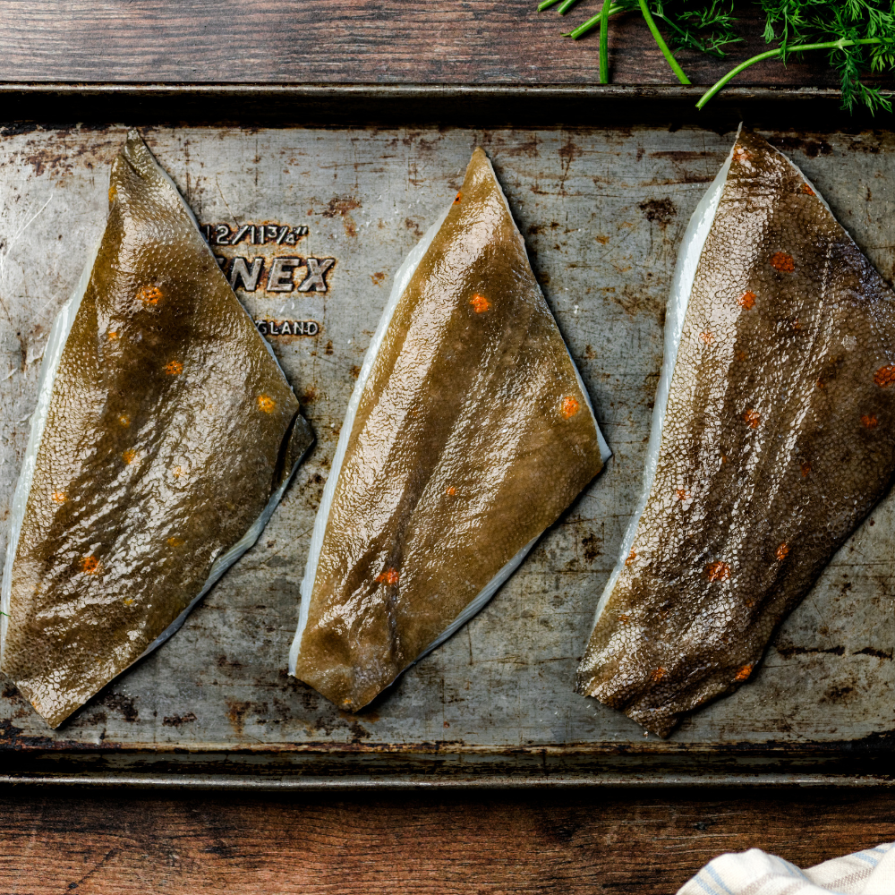 Wild British Plaice Fillets