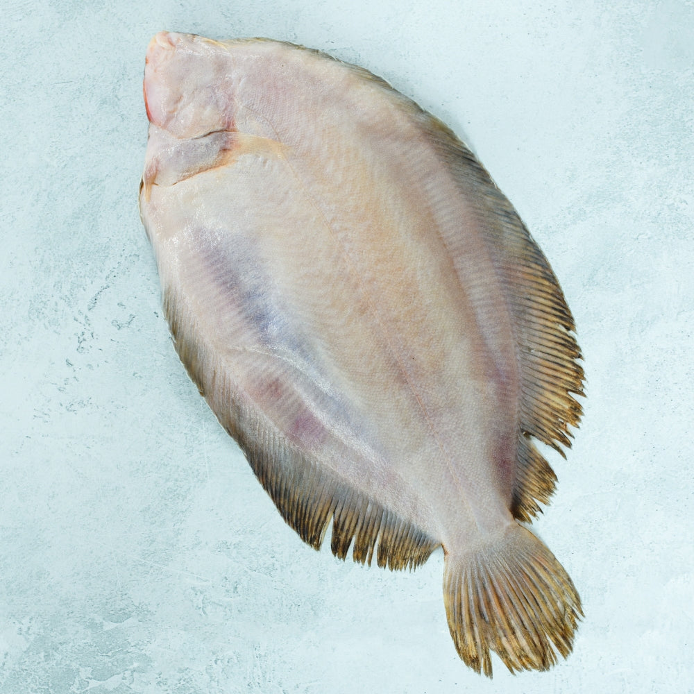 Whole Wild British Lemon Sole