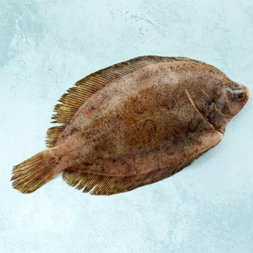 Whole Wild British Lemon Sole