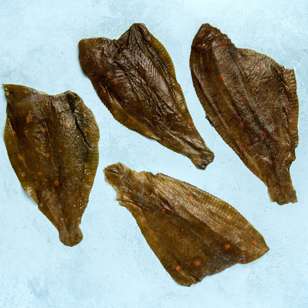 Wild British Plaice Fillets