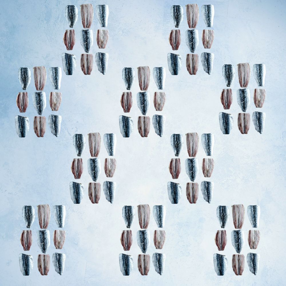 Best Seller Bundle Sardine Fillets - Wild & Butterflied (x2) 400g x 10 Packs