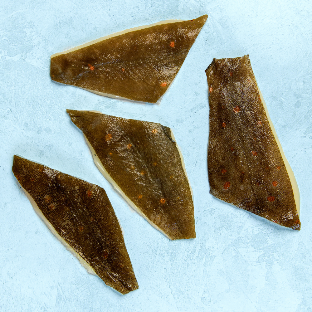 Wild British Plaice Fillets