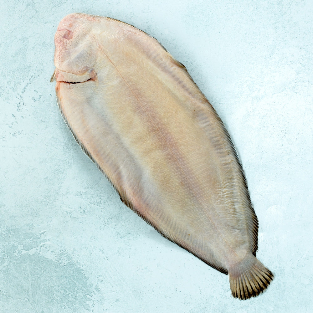 Whole Wild British Dover Sole - Cleaned