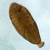Whole Wild British Dover Sole - Cleaned