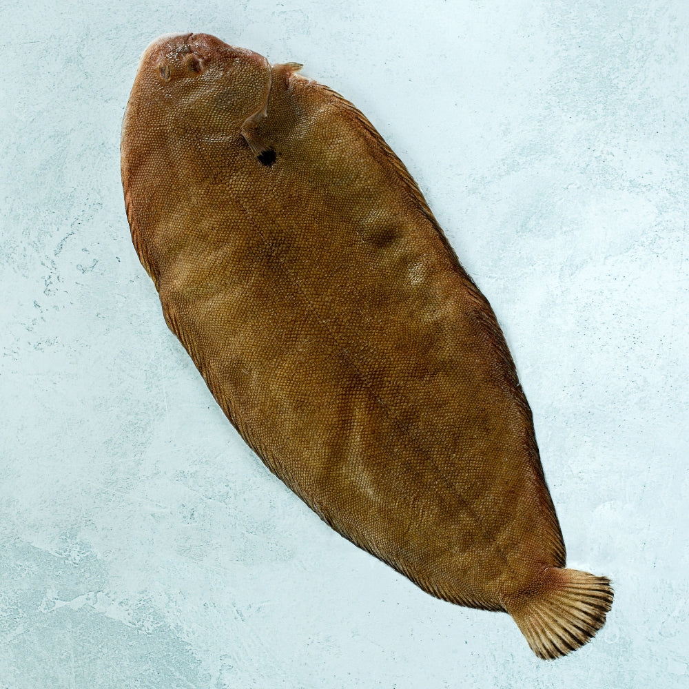 Whole Wild British Dover Sole - Cleaned