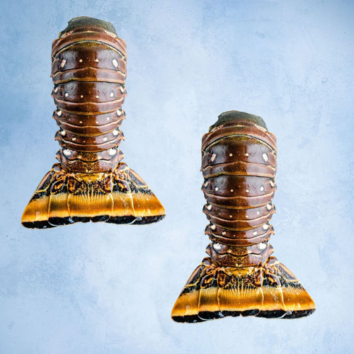Wild Caribbean Rock Lobster Tail 150g Tail x 2 For £30
