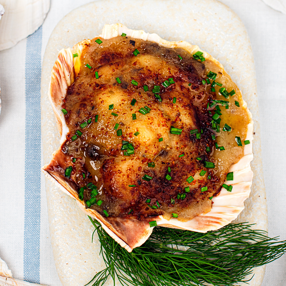 Coquille Saint Jacques