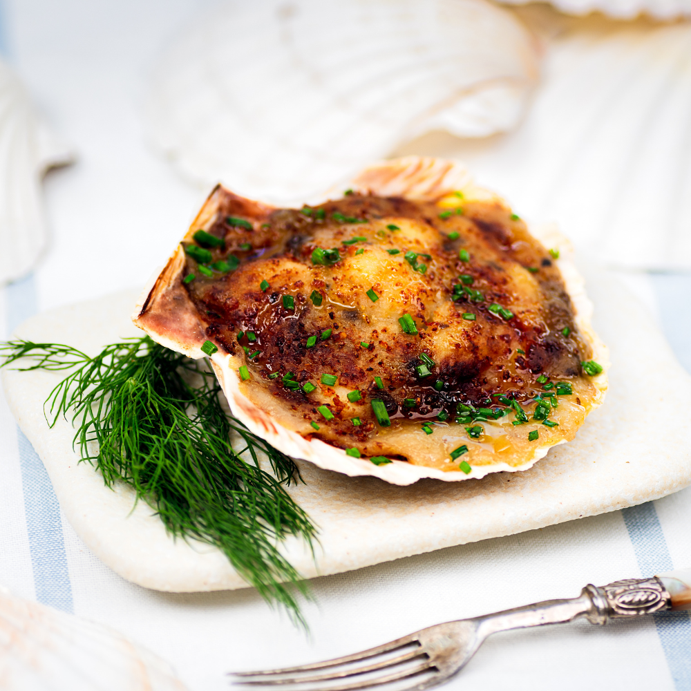 Coquille Saint Jacques