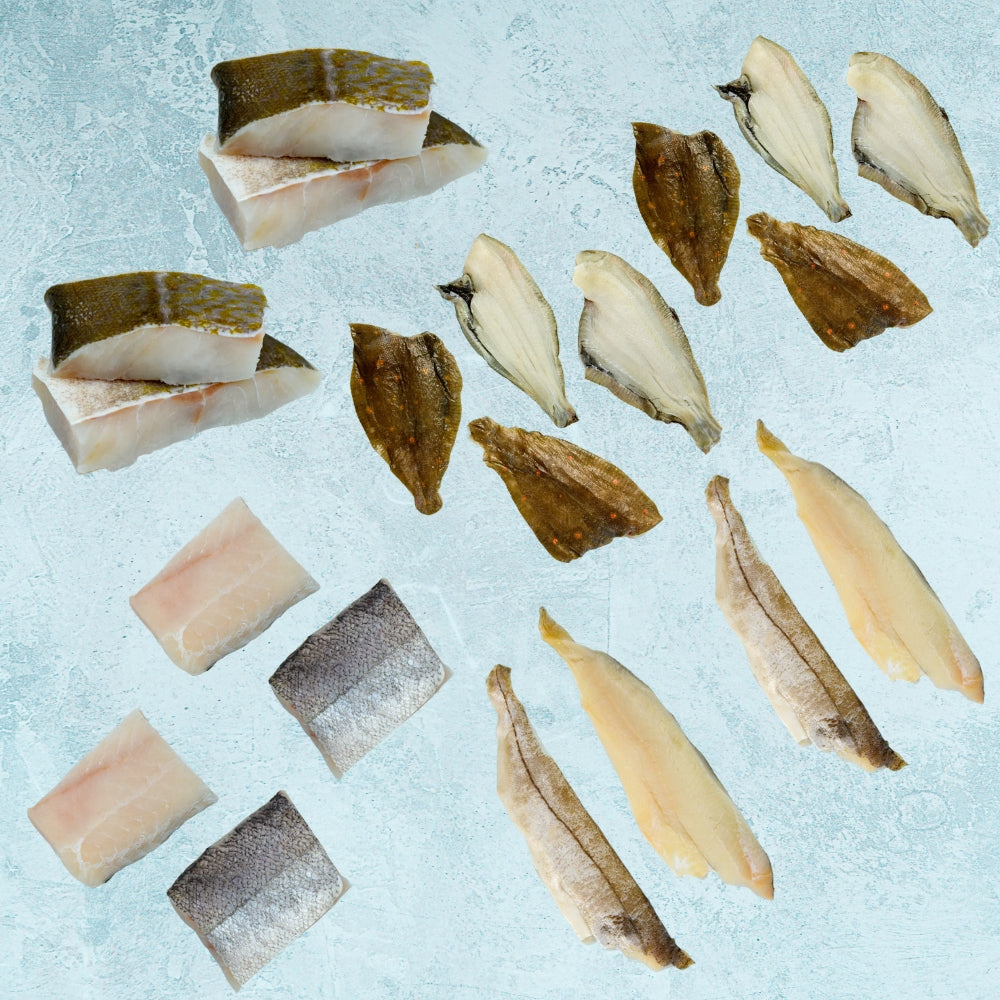 Best Selling White Fish Bundle - Medium