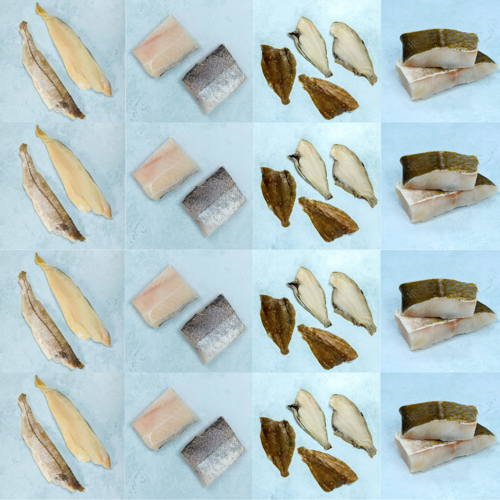 Freezer Filler - Bulk Buy Best Selling White Fish
