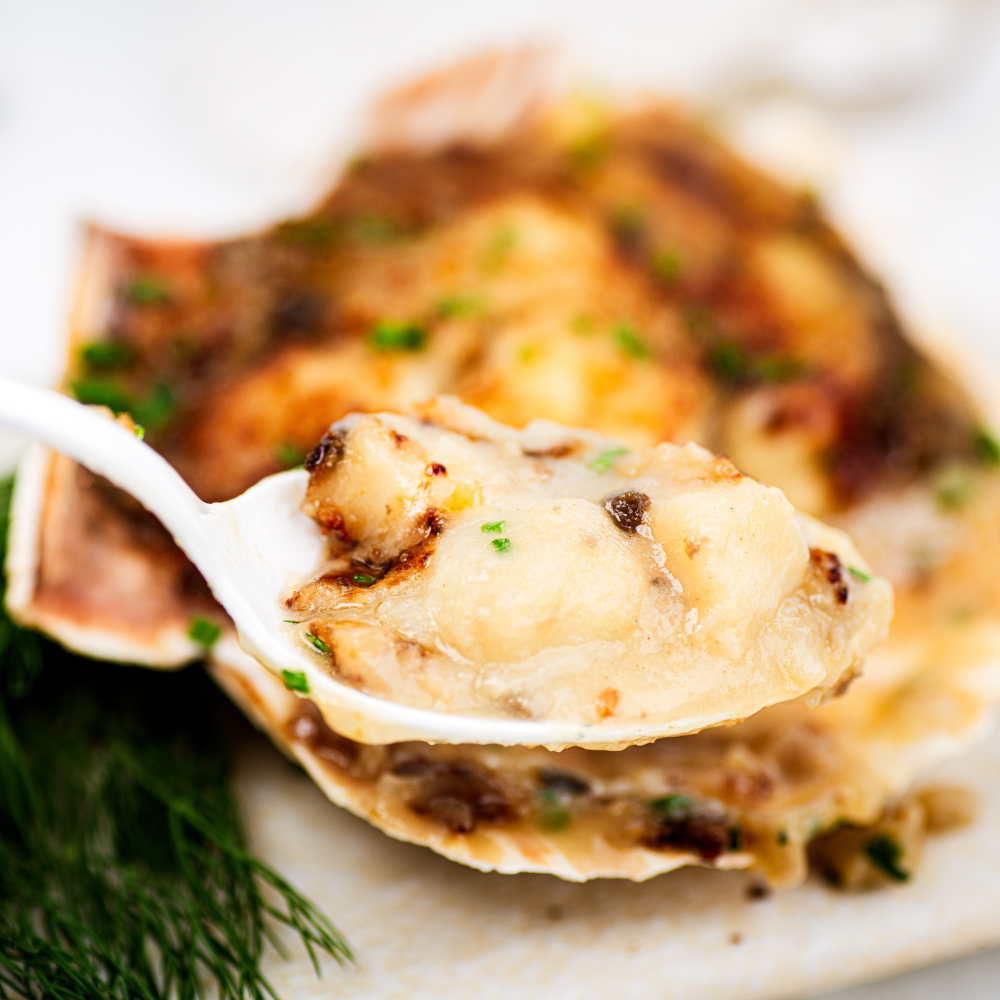 Coquille Saint Jacques