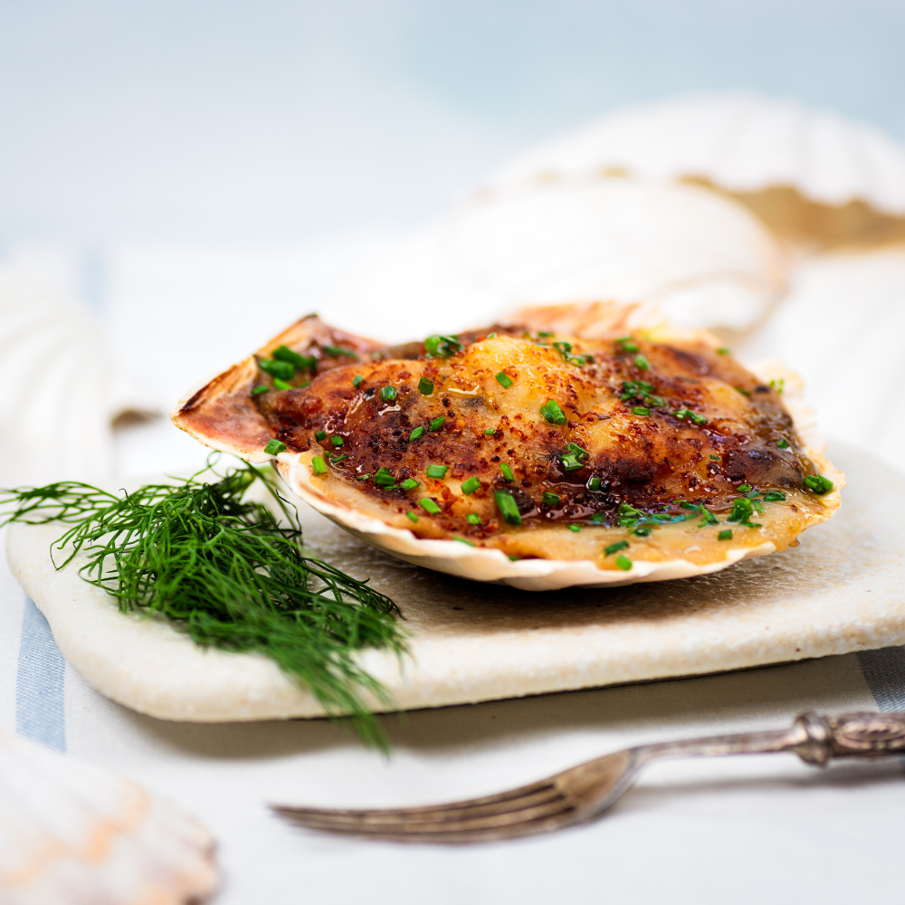 Coquille Saint Jacques