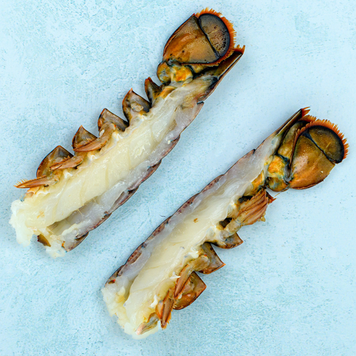Raw Split Canadian Lobster Tail