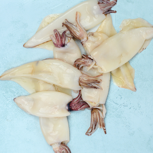 Whole Cleaned Squid