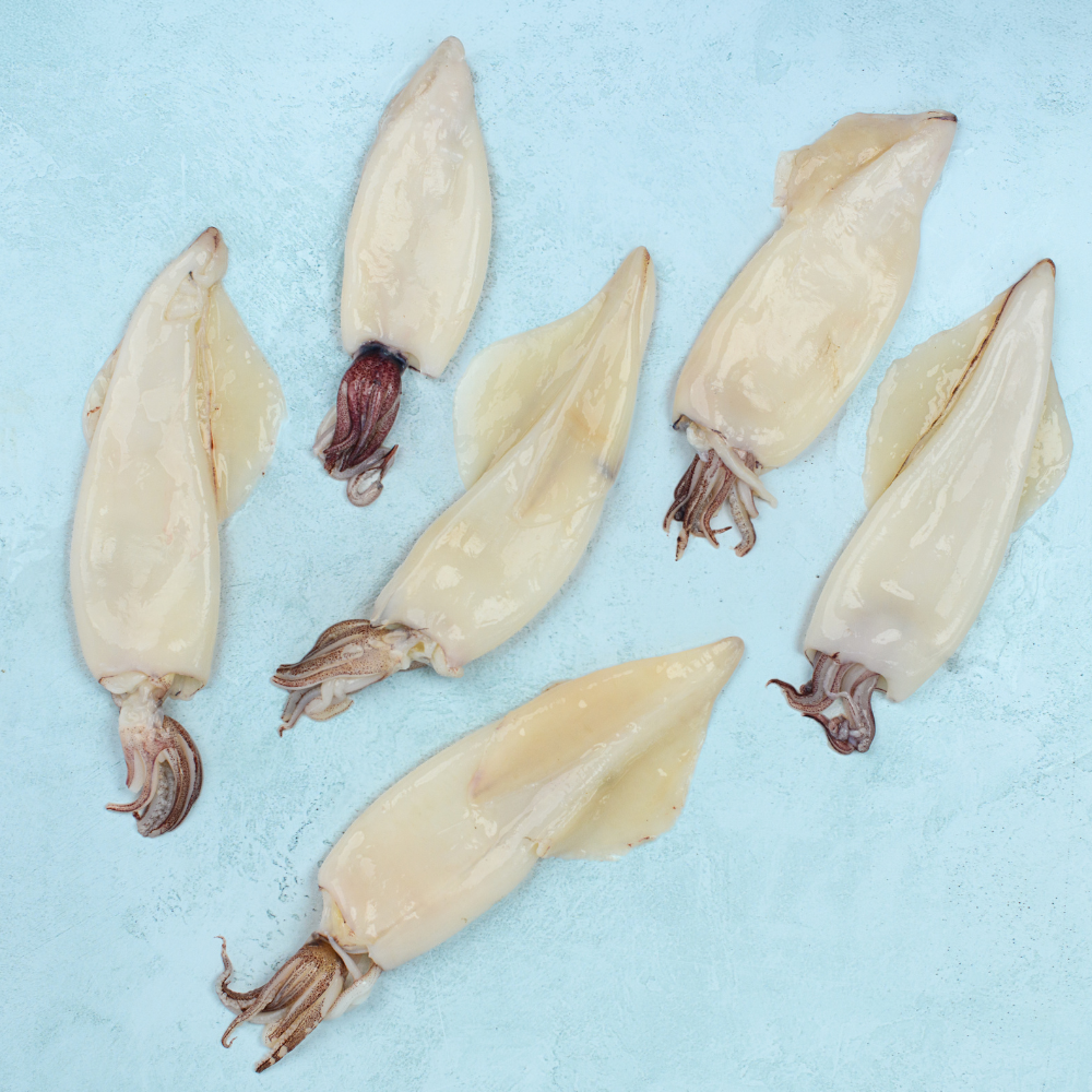 Whole Cleaned Squid