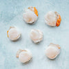 Wild Hand Dived King Scallops