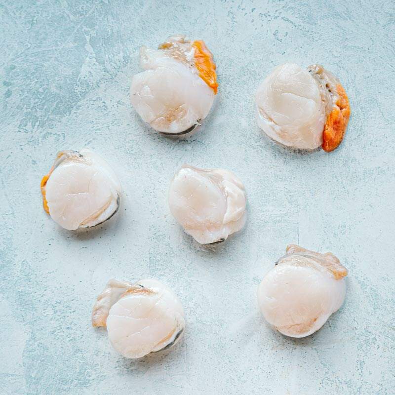 Wild Hand Dived King Scallops