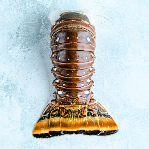 Wild Caribbean Rock Lobster Tail