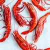 Wild Carabineros Prawns