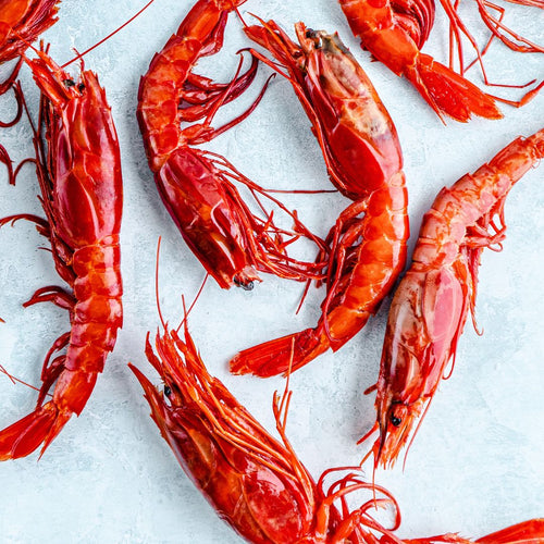 Wild Carabineros Prawns