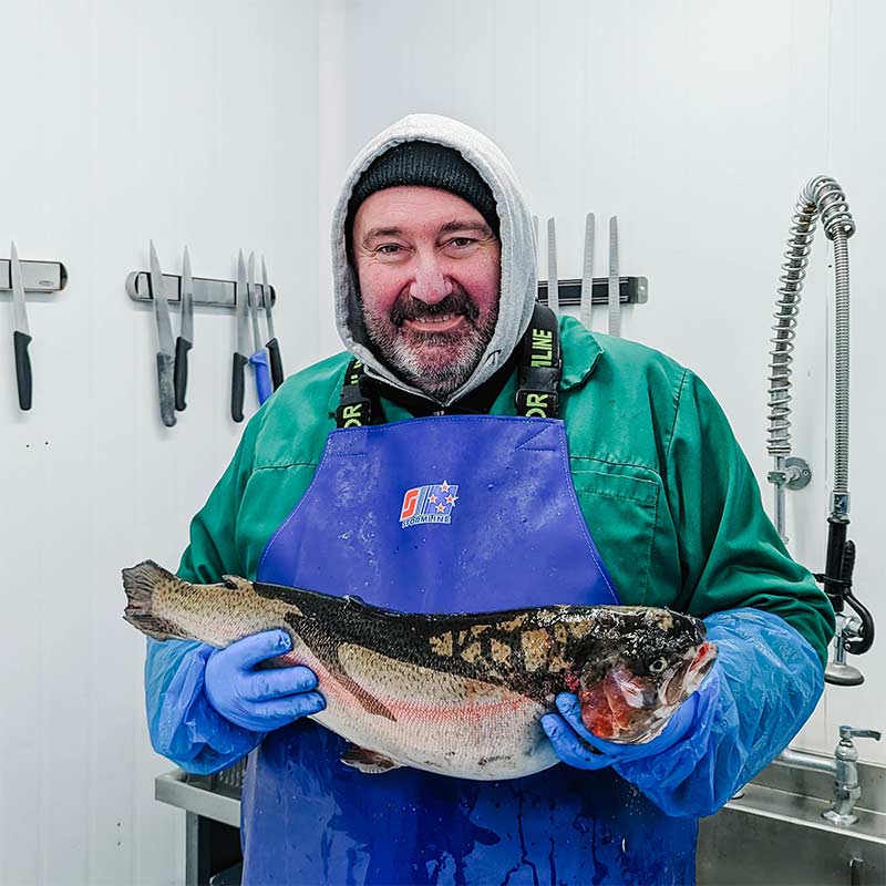 Chalkstream Rainbow Trout Back Sashimi Strip