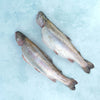 Whole Rainbow Trout - Cleaned
