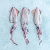 Paella Seafood Box - Serves 4-6 - Wild Baby Squid