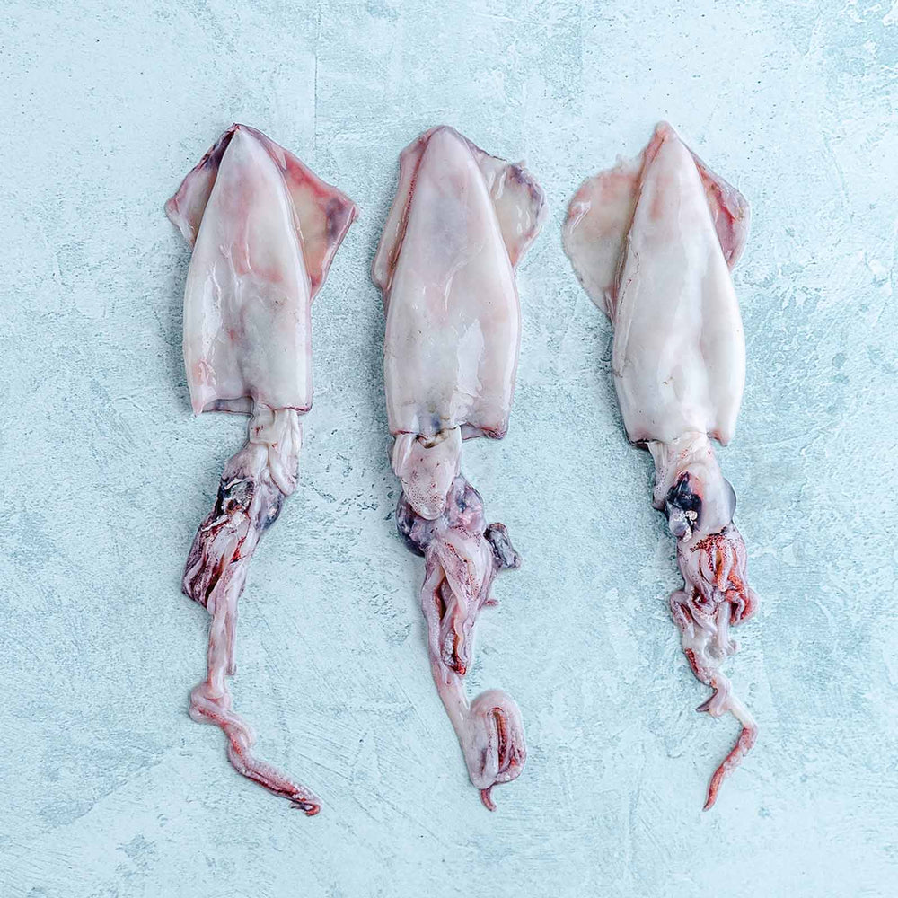 Paella Seafood Box - Serves 4-6 - Wild Baby Squid