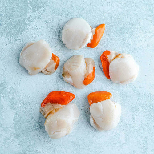 Wild Scottish King Scallops - 6 scallops