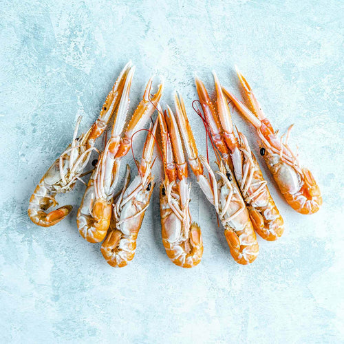 Wild Scottish Langoustines