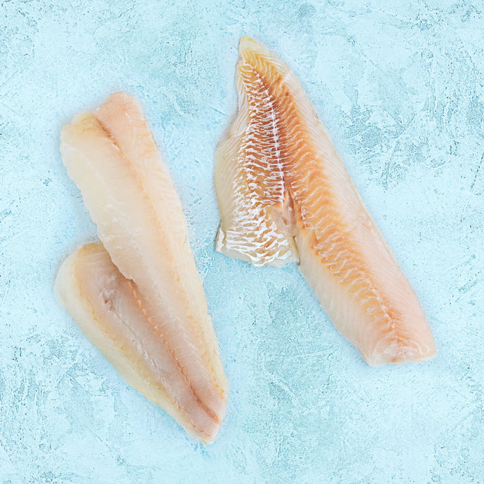 Buy Skinless Cod Fillets Online | 2 Frozen Fillets – The Fish Society