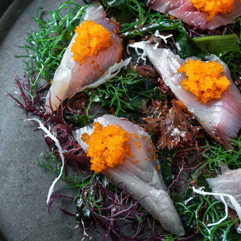 Buy Saba Sashimi Grade Mackerel Strips Online Frozen For Sushi The