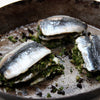 Cornish MSC Sardine Fillets