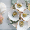Wild British Half Shell King Scallops