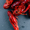 Spanish Crayfish in Dill Brine