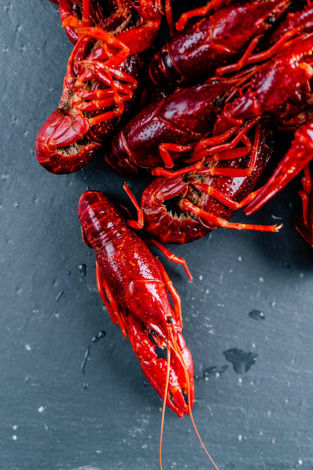 Spanish Crayfish in Dill Brine
