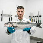 Wild British Sea Bass Fillet Portions