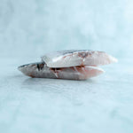 Wild British Sea Bass Fillet Portions