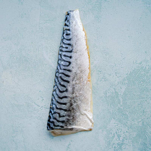 Sashimi Grade Cured Mackerel Fillet - Shime Saba