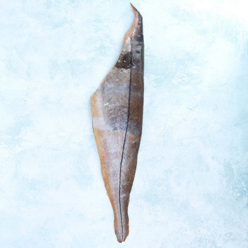 Buy Haddock Online Next Day Delivery The Fish Society