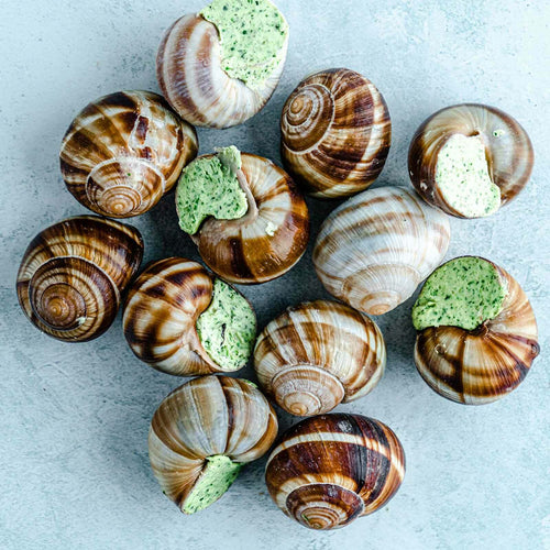 Escargots - snails in garlic butter