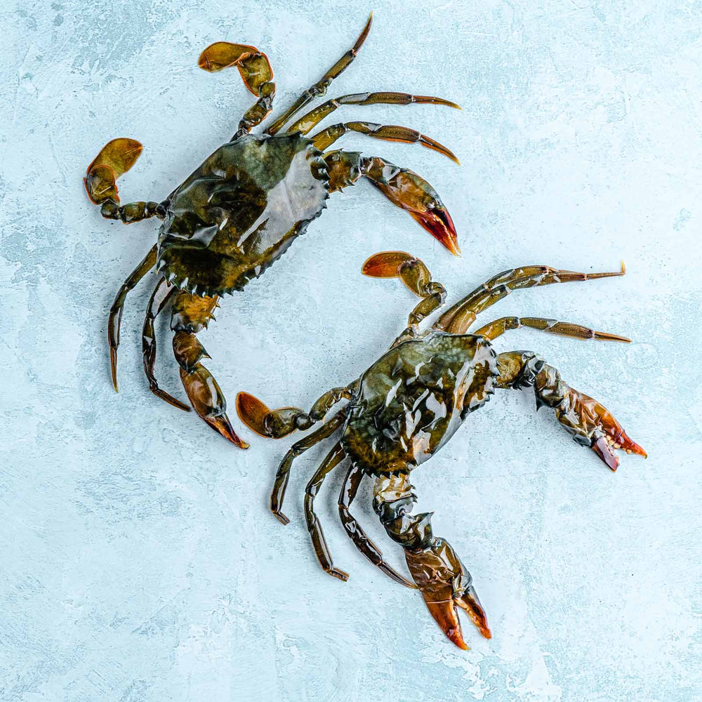 Buy Soft Shell Crab Online | Next Day Delivery – The Fish Society